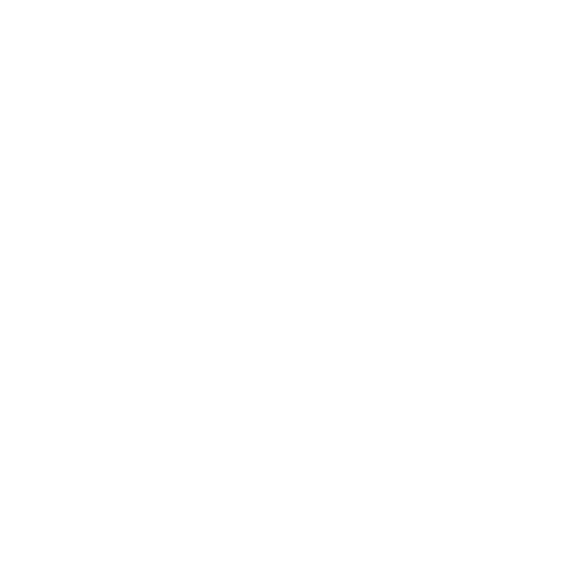 airplane icon