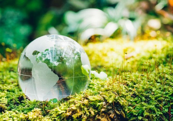 Globe glass in grass forest on nature background Environment