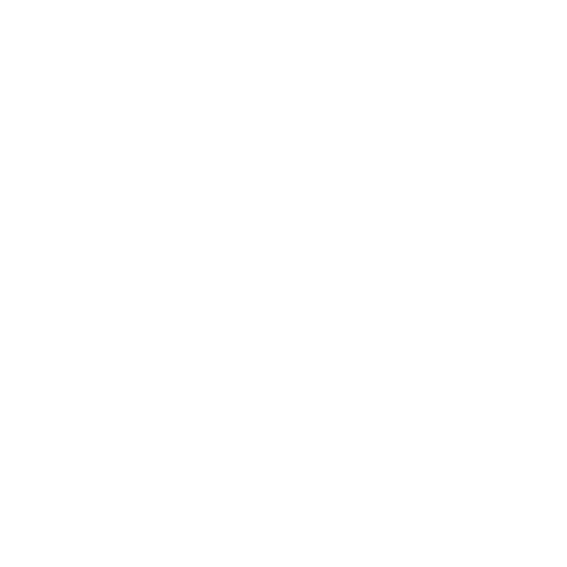 security icon