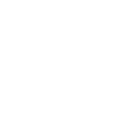 ocean freight